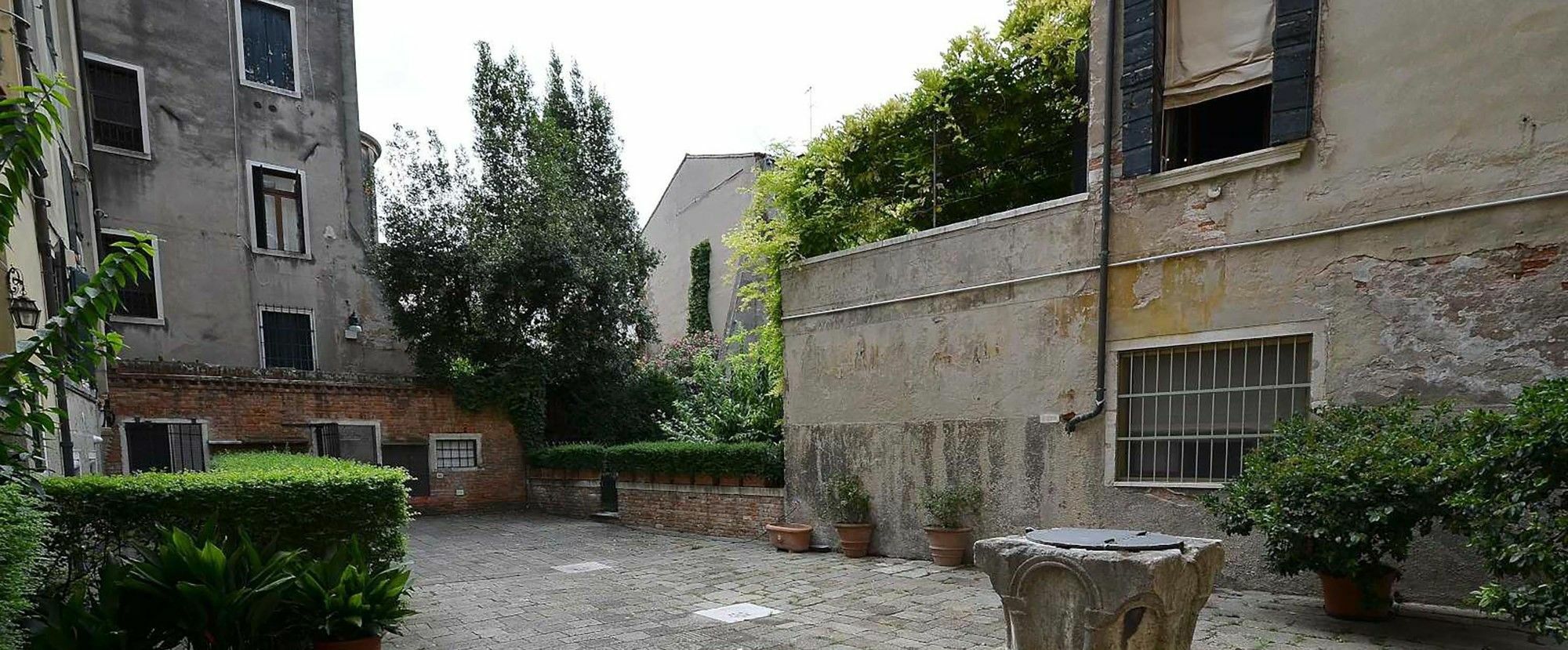 ונציה Tribuno Grand Canal מראה חיצוני תמונה